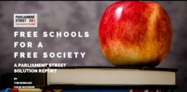 SOLUTION REPORT – Free Schools for a Free Society