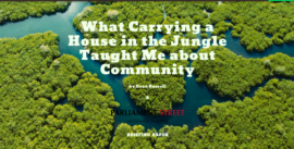 BRIEFING PAPER – What Carrying a House in the Jungle Taught Me about Community